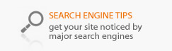 Search Engine Tips