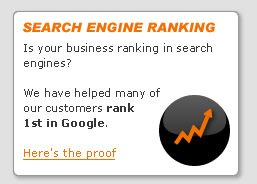Search Engine Optimisation (SEO)