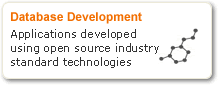Database / Application Development
